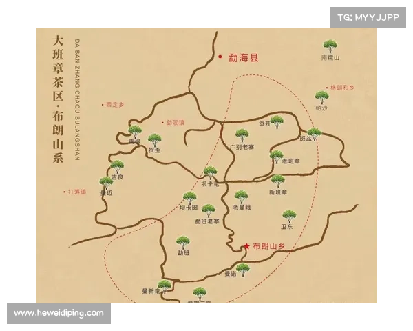 布朗表现优异的五大关键因素分析与探讨