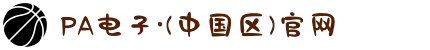 PA电子·(中国区)官网